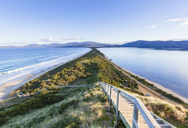 Bruny Island Fudge Buy: Your Complete Guide to Tasmania's Famous Chocolate Treat