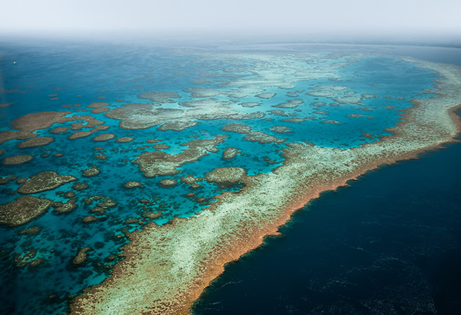 Great Barrier Reef Adventures: Marine Paradise at Your Doorstep