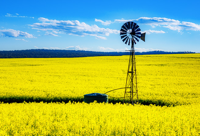 Planning Your Visit to York