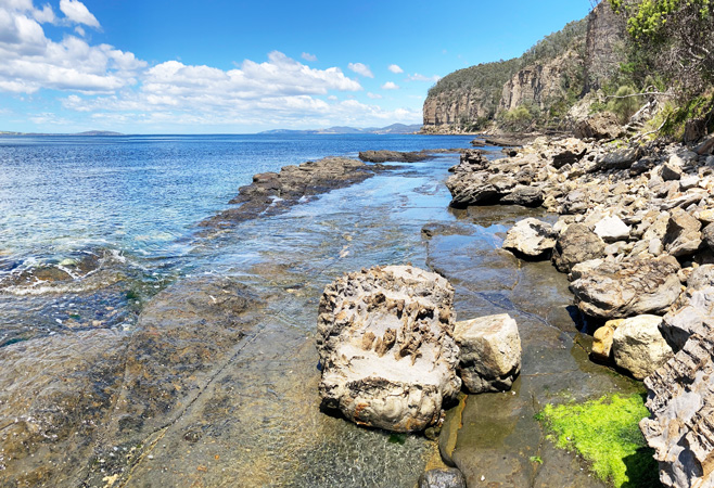 Why Kingston Deserves Your Attention