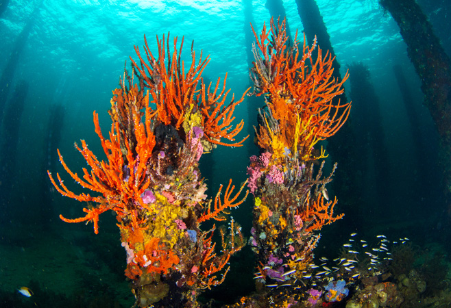 Best Things to Do in Busselton When Raining