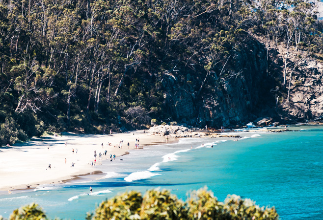 Essential Things to Do in Kingston, Tasmania