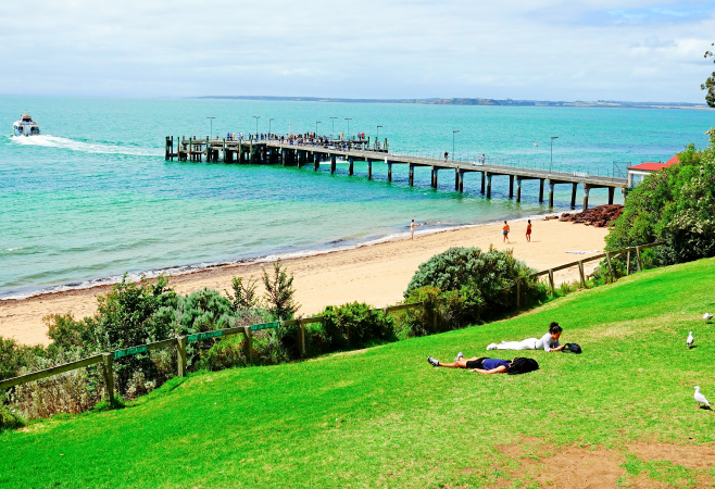 Essential Things to Do in Phillip Island