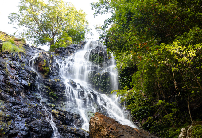 Hinterland Adventures: Mountains and Rainforests