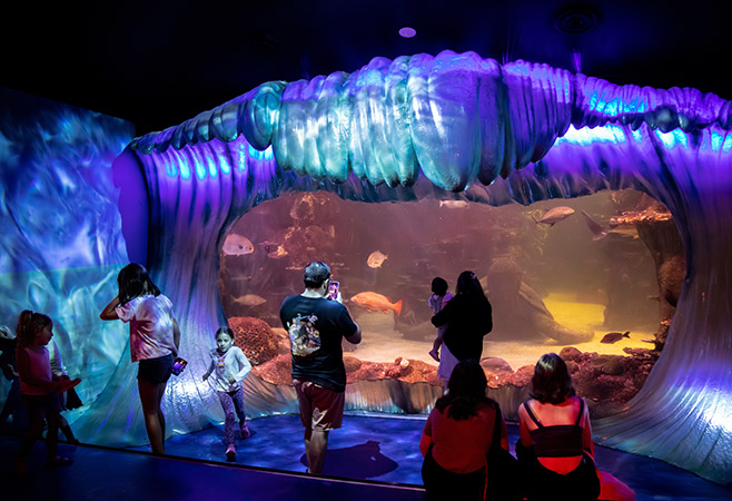 Mid-Morning Adventures: Interactive Learning and Exploration