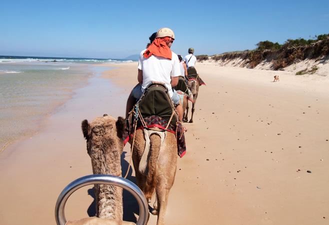 The Ultimate Things to Do in Port Macquarie for Couples