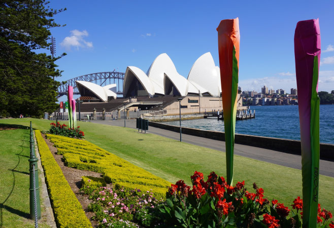 Sydney Harbour views from the Royal Botanic Garden