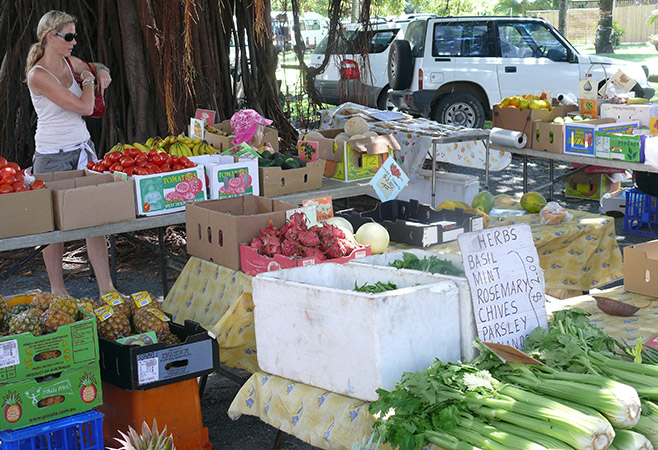 Culinary Excellence: Tropical Flavors and Fresh Seafood