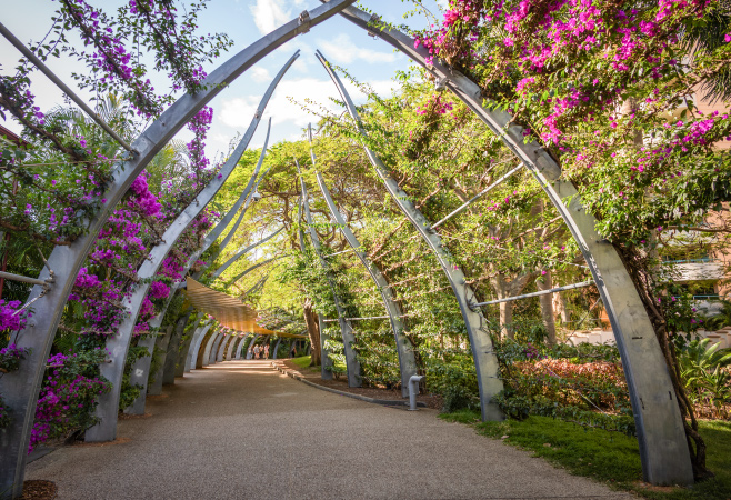 Essential Tips for Brisbane