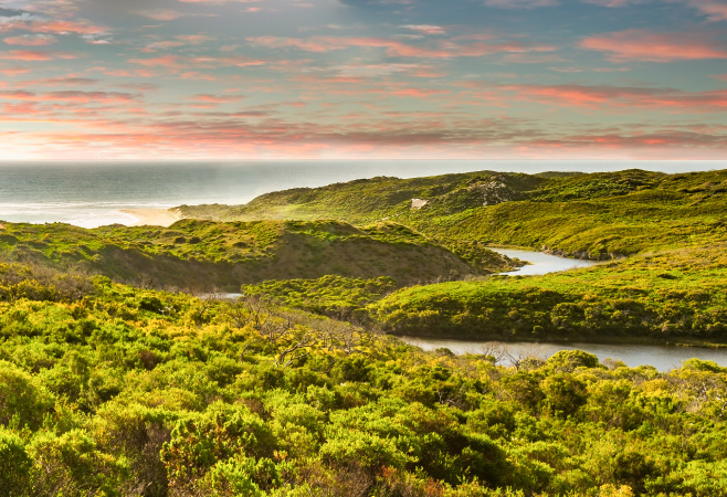 Things to Do in Margaret River