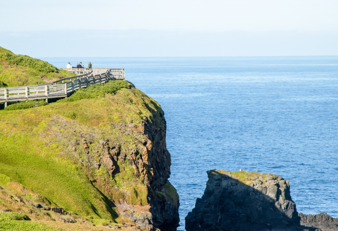 Things to Do in Phillip Island